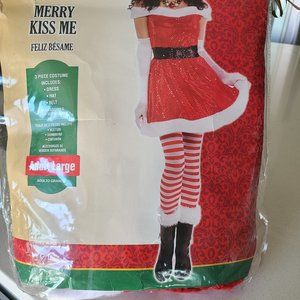 Adult Women's Merry Kiss Me Costume Size Large
